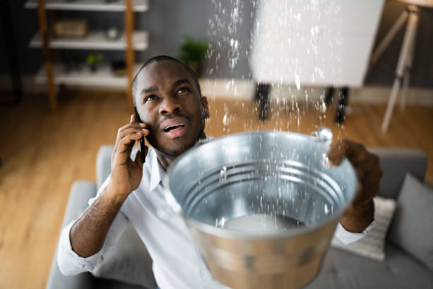 Best 24/7 water damage repair  in Weidman, MI
