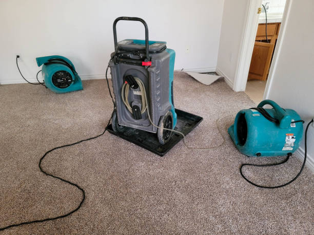 Best Water damage cleanup near me  in Weidman, MI