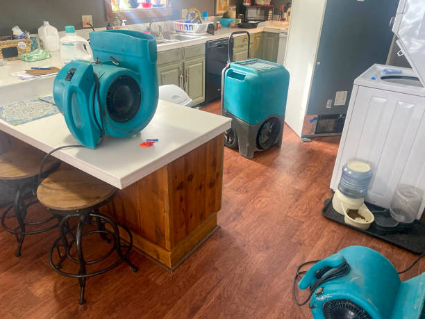 Best Emergency water damage restoration  in Weidman, MI
