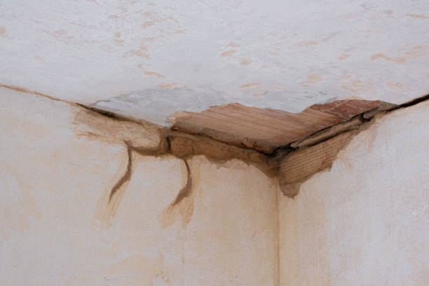 Best Basement water damage restoration  in Weidman, MI