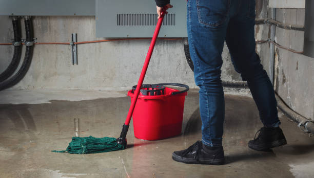 Best 24/7 water damage repair  in Weidman, MI