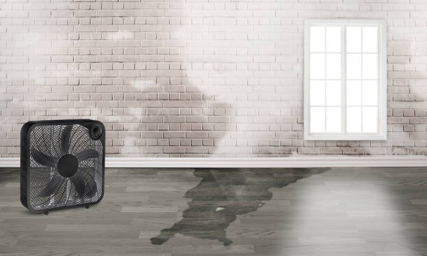 Best Sewage cleanup and water damage restoration  in Weidman, MI