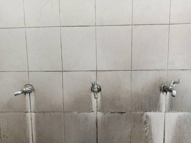 Best Mold removal after water damage  in Weidman, MI