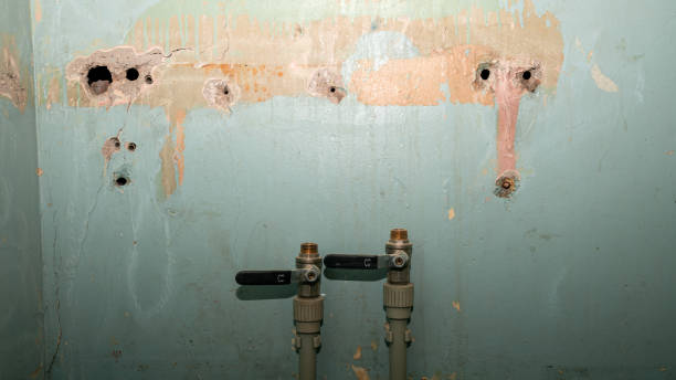 Best Professional water damage repair  in Weidman, MI