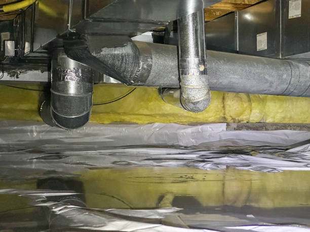 Best Water damage restoration services  in Weidman, MI