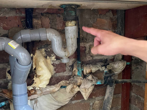 Best Ceiling water damage repair  in Weidman, MI