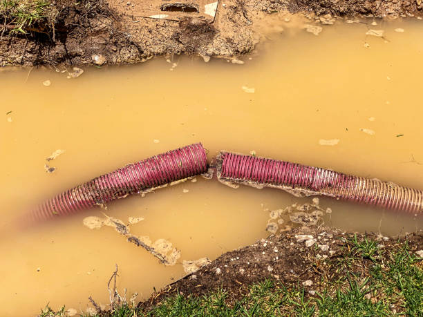 Best Water damage restoration near me  in Weidman, MI