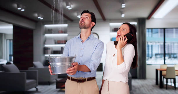 Best Flood damage cleanup  in Weidman, MI