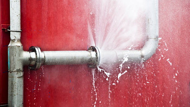  Weidman, MI Water damage restoration Pros