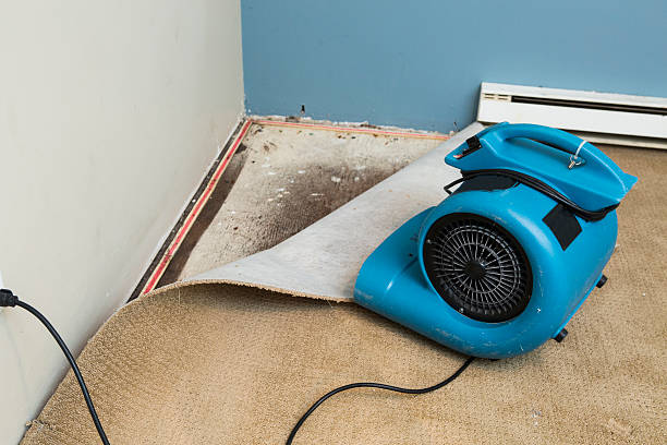 Best Flood restoration services  in Weidman, MI