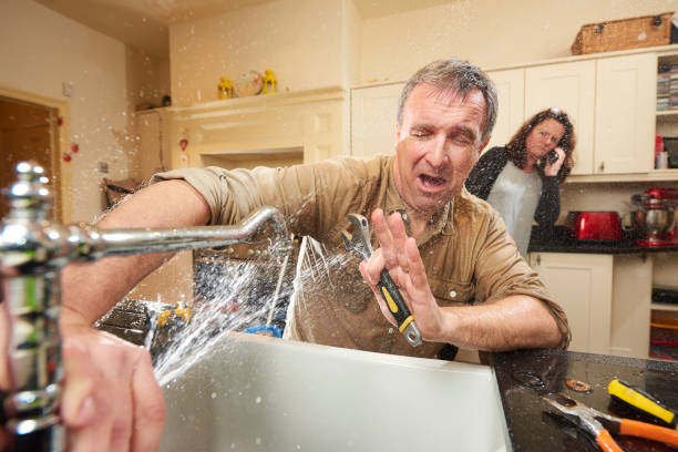 Best Water damage contractors near me  in Weidman, MI